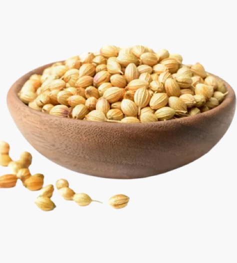 Coriander (Dhania)